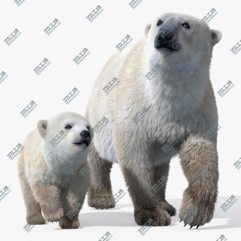 images/goods_img/20210113/Polar Bear Group(FUR)(RIGGED)/1.jpg